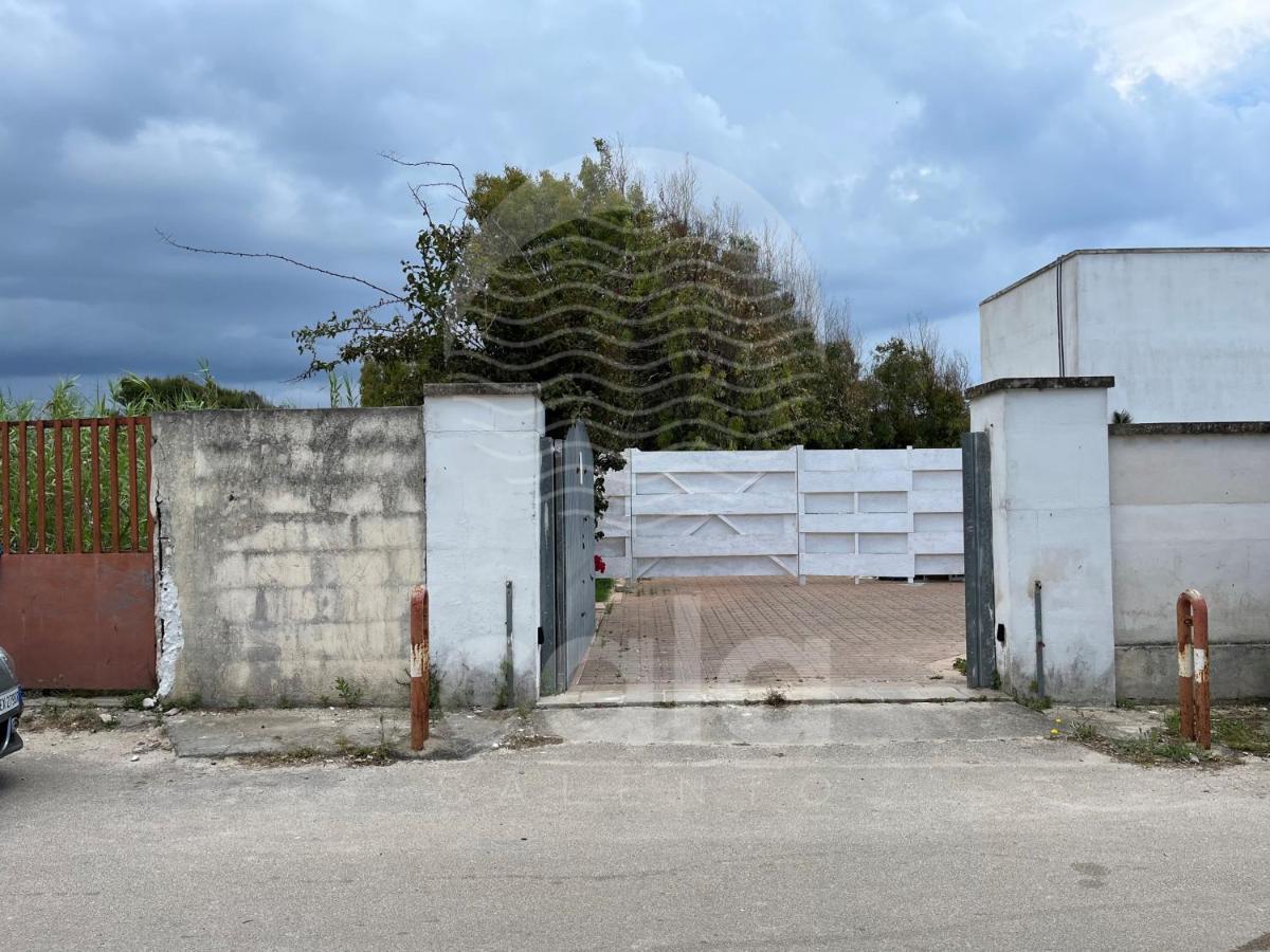 Villa Rosa Dei Venti Porto Cesareo Exterior photo